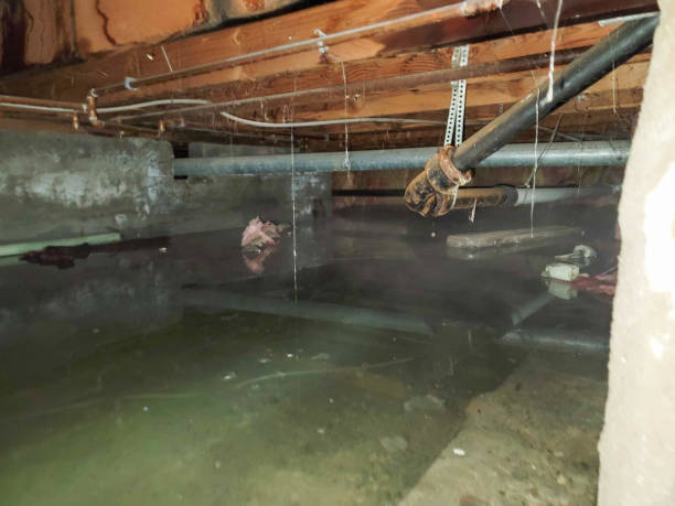 Best Commercial water damage restoration  in Bedford, IN