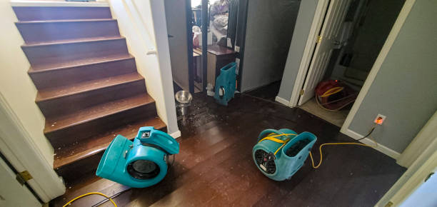 Best Flood restoration services  in Bedford, IN