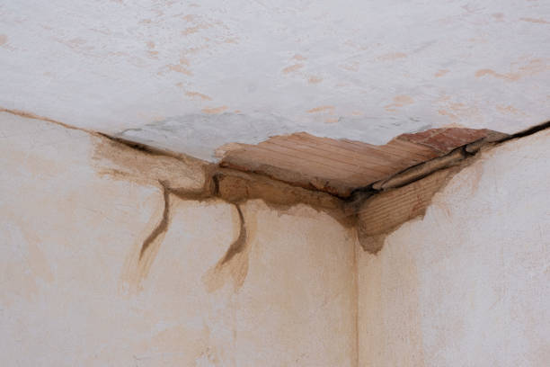 Best 24-hour water damage restoration  in Bedford, IN