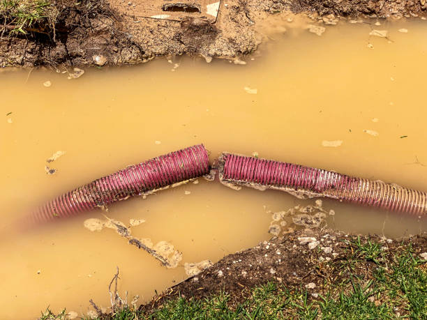  Bedford, IN Water damage restoration Pros