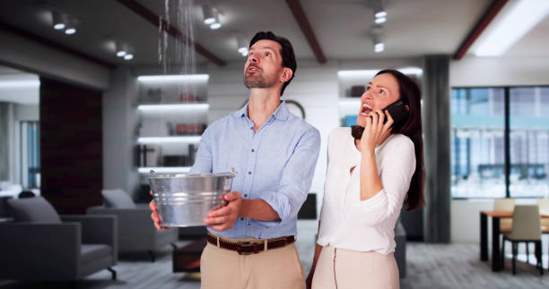 Best Basement water damage restoration  in Bedford, IN